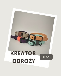 SMYCZNIK: Kreator obroży HEXA (plastry miodu) 20MM