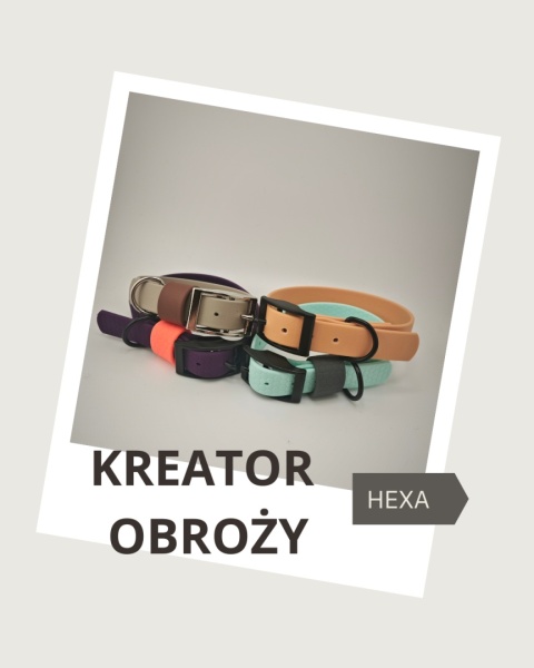 SMYCZNIK: Kreator obroży HEXA (plastry miodu) 20MM