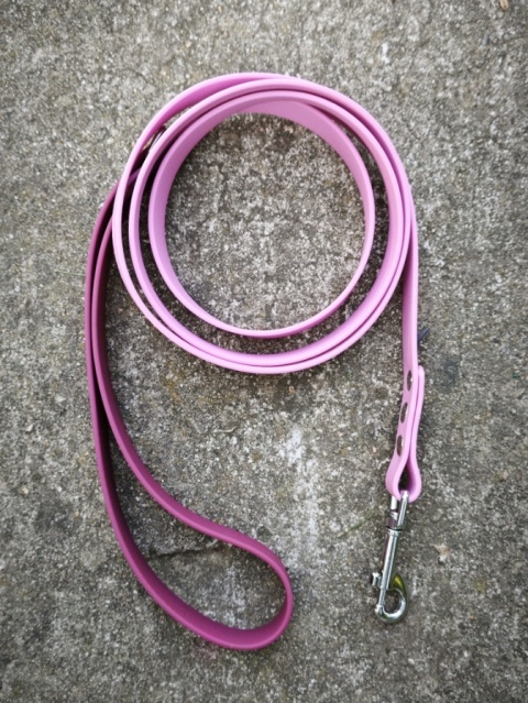 Smycz miejska PawTex | 1,7m | 20mm | karabińczyk standardowy srebrny