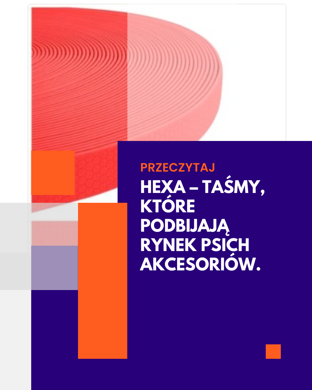 HEXA – taśmy, które podbijają rynek psich akcesoriów.