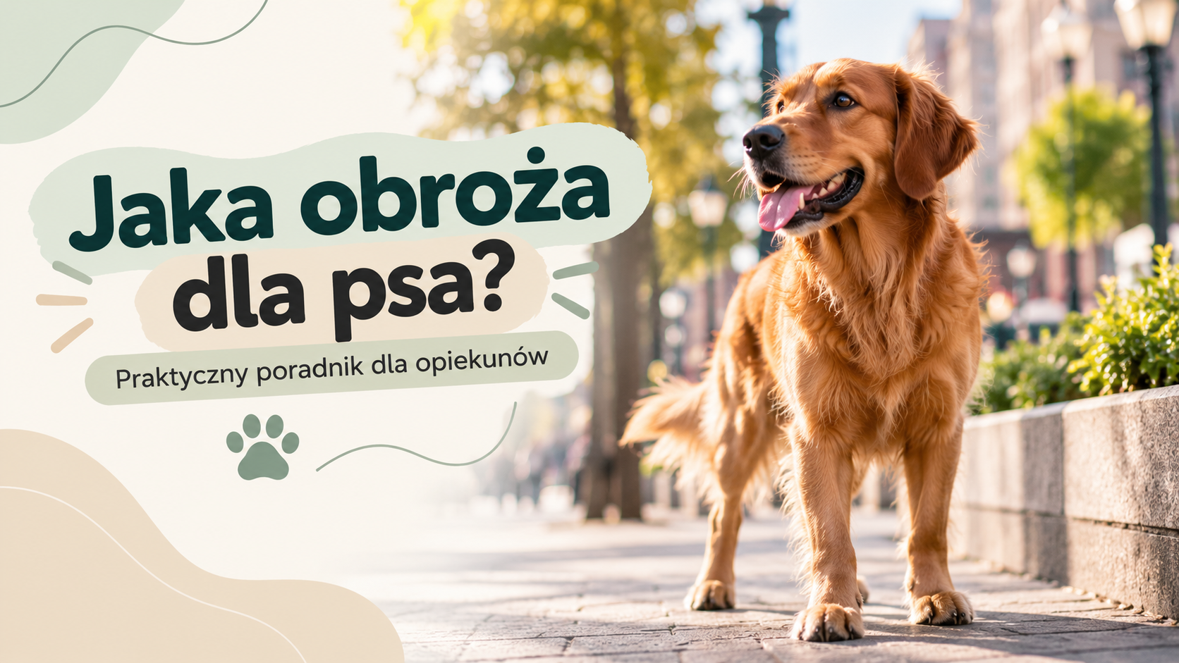 Jaka obroża dla psa? Jak dobrać rozmiar i szerokość | SMYCZNIK